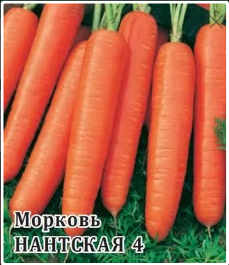 Морковь Нантская-4 (проф.упаковка) 25гр. (Гавриш)