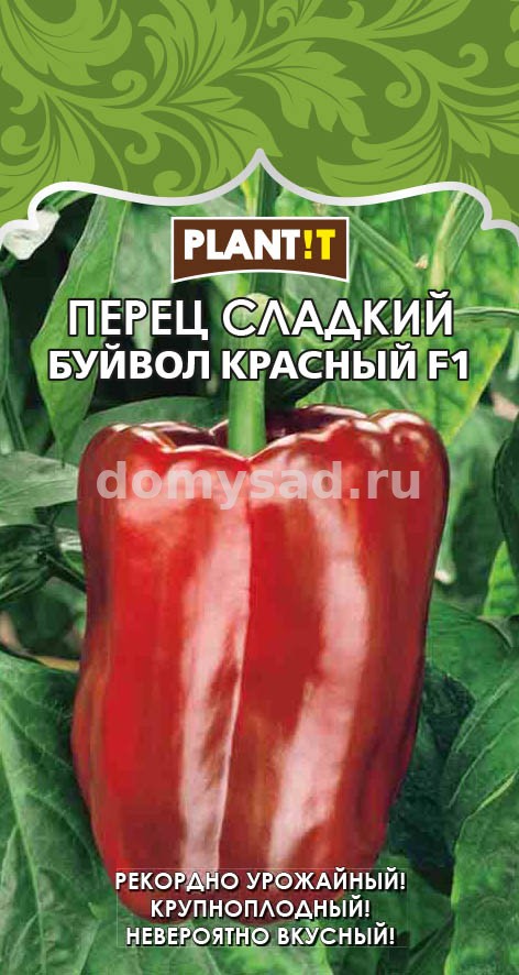 пер.Буйвол Красный F1 (PLANT!T) Ц