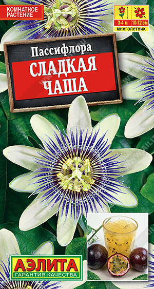 Пассифлора Сладкая чаша (Аэлита) Ц