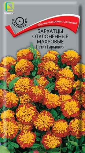 Бархатцы Петит гармония отклоненные махровые (Поиск) Ц