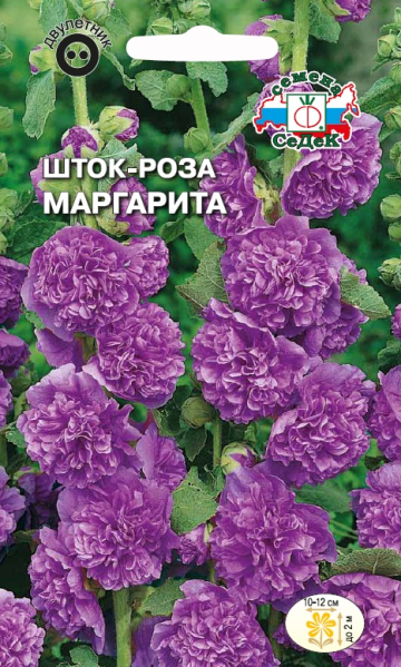 Шток-роза Маргарита фиолетовая (Седек) Ц