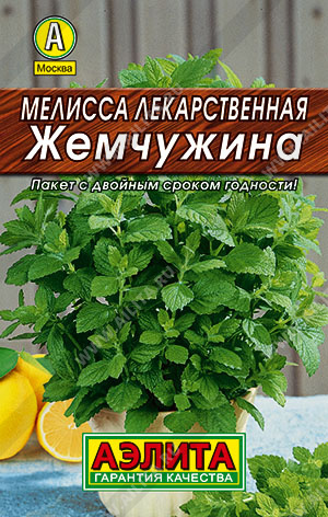 Мелисса лекарственная Жемчужина (Аэлита) Ц