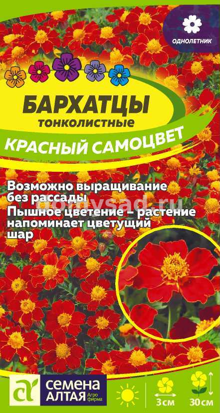 Бархатцы Красный Самоцвет тонколистные (Семена Алтая) Ц