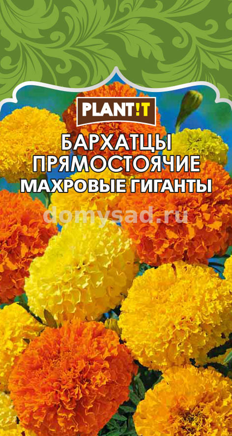 Бархатцы Махровые Гиганты прямостоячие (PLANT!T) Ц