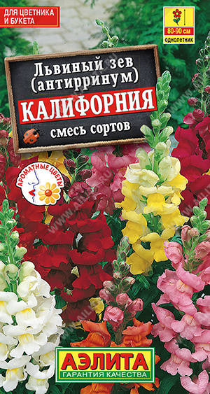 Львиный зев Калифорния смесь Высокорослый (Аэлита) Ц