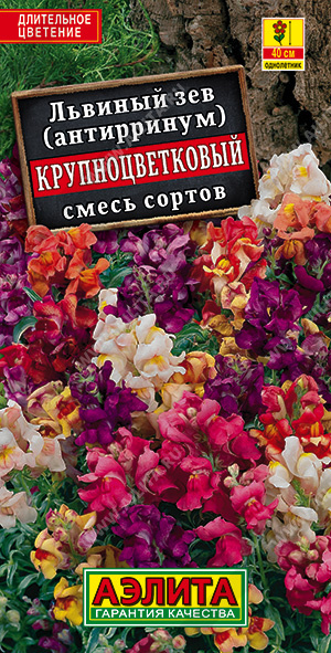 Львиный зев Крупноцветковый смесь(Аэлита) Ц