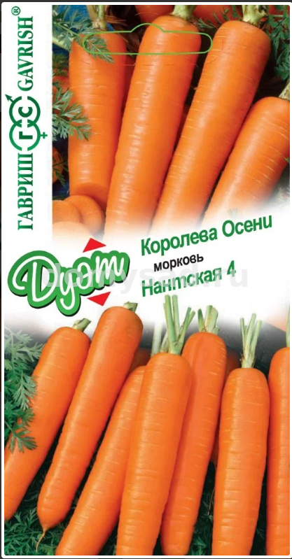 м.Королева Осени 2,0г. + Нантская 4 2,0г. серия Дуэт Н21 (Гавриш) Ц