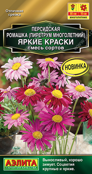 Ромашка персидская Яркие краски, смесь сортов (Аэлита) Ц