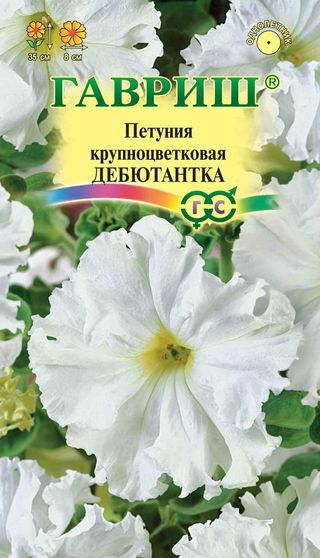 Фриллитуния Дебютантка бахр. крупноцветковая (Гавриш) Ц