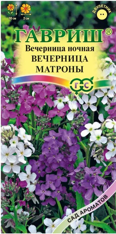 Хесперис Вечерница Матроны смесь (Гавриш) Ц