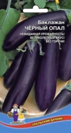 Хоста гибридная МУДИ БЛЮЗ/К