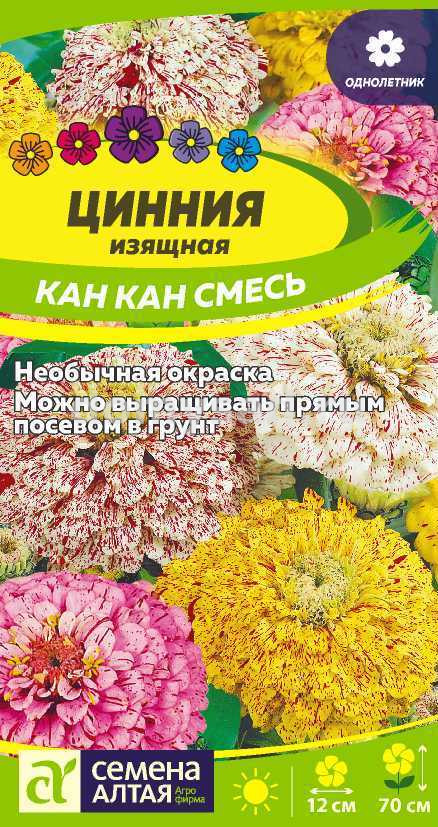 Цинния изящная Кан Кан (Семена Алтая) Ц