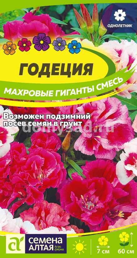 Годеция Махровые гиганты смесь (Семена Алтая) Ц