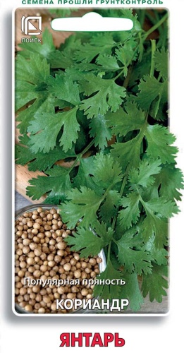 Кориандр Янтарь (Поиск) Ц