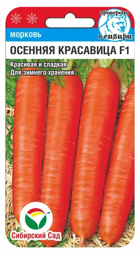 м.Осенняя королева (Сибирский сад) Ц