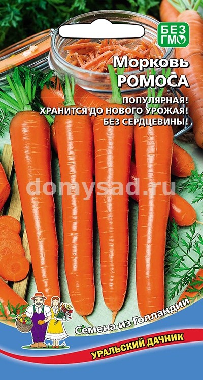 м.Ромоса ГОЛЛАНДИЯ (Поздний, цилиндрический, для длительного хранения (Уральский Дачник) Ц