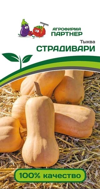 Тыква СТРАДИВАРИ (Партнер) Ц