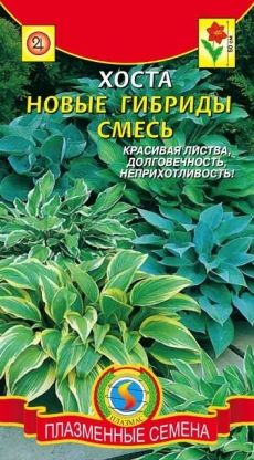 Хоста Новые гибриды смесь (Агроника) Плазменные семена Ц