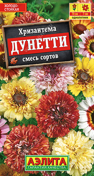 Хризантема Дунетти Смесь (Аэлита) Ц