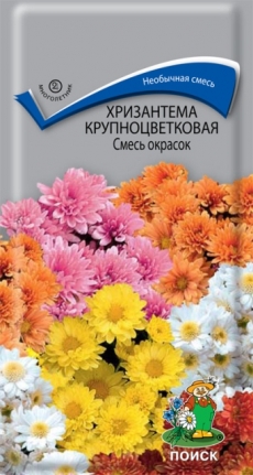 Хризантема крупноцветковая Смесь окрасок 0,05гр. (Поиск) Ц