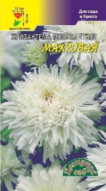 Хризантема Многолетняя Махровая Белая (Цветущий Сад) Ц