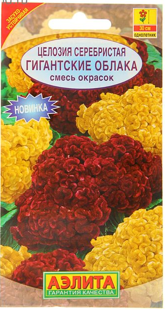 Целозия серебристая Гигантские облака смесь окрасок (Аэлита) Ц