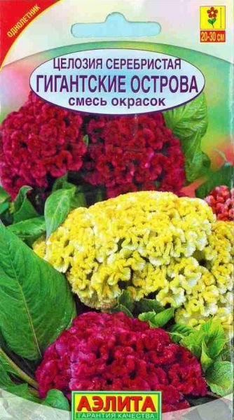 Целозия серебристая Гигантские острова смесь окрасок (Аэлита) Ц