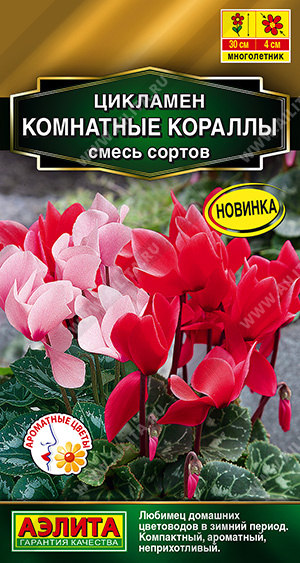 Цикламен Комнатные кораллы смесь сортов (Аэлита) Ц