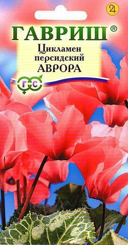 Цикламен персидский Аврора 3шт. (Гавриш) Ц