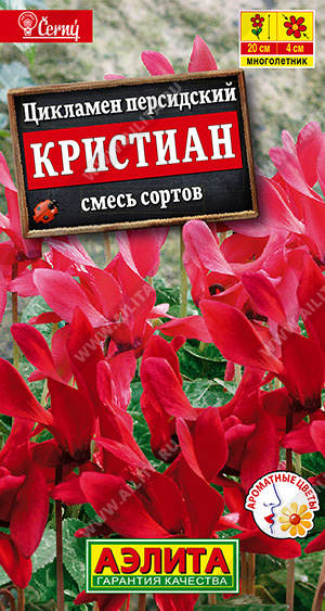 Цикламен персидский Кристиан, смесь окрасок (Аэлита) Ц