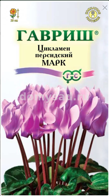 Цикламен персидский Марк 3шт.(Гавриш) Ц