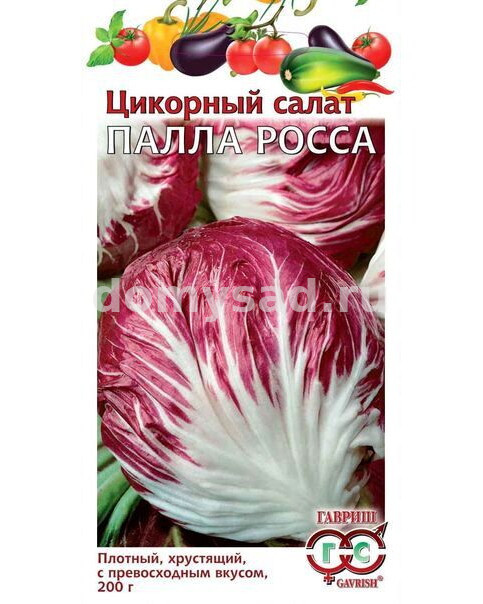 Цикорный салат Пала Росса (Гавриш) Ц