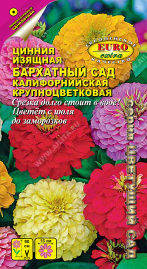 Цинния Бархатный сад (Аэлита) Ц