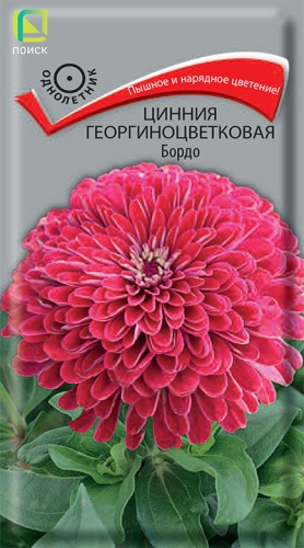 Цинния георгиноцветковая Бордо 0,4гр. (Поиск) Ц