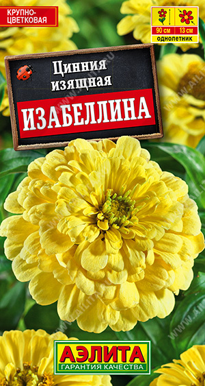 Цинния Изабелина георгиновидная (Аэлита) Ц