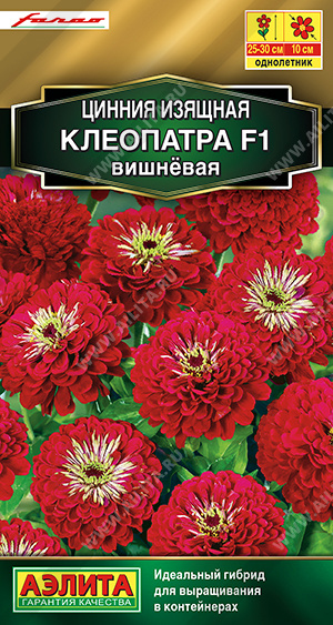 Цинния Клеопатра F1 вишневая, низкорослая 25-30см. (Аэлита) Ц
