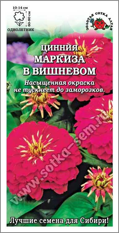 Цинния Маркиза в Вишневом 0,3гр. георгиновидная 70-90см. 10-15см. (Золотая Сотка Алтая) Ц