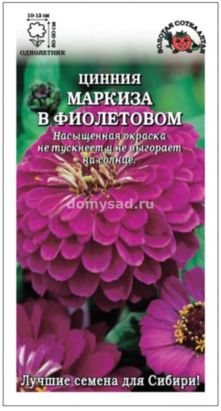 Цинния Маркиза в Фиолетовом 0,3гр. георгиновидная 70-90см. 10-15см. (Золотая Сотка Алтая) Ц