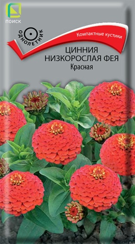 Цинния низкорослая Фея Красная 0,1гр. (Поиск) Ц