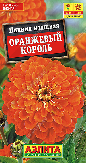 Цинния Оранжевый Король (Аэлита) Ц