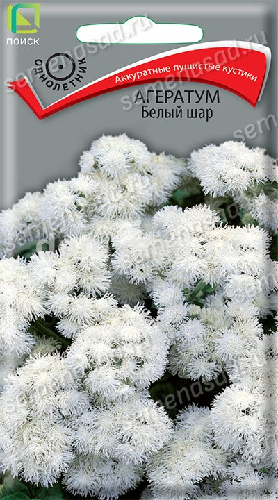 Агератум Белый шар (Поиск) Ц