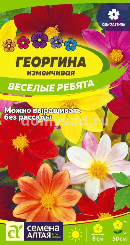 Георгина Веселые Ребята (Семена Алтая) Ц