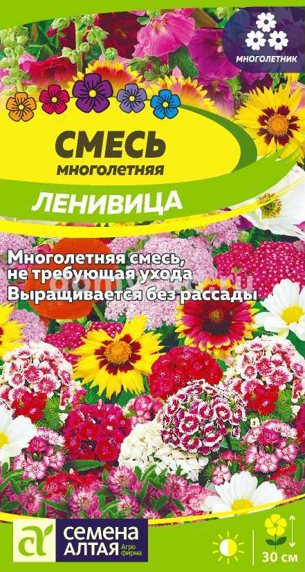 Смесь Ленивица многолетняя низкая (Семена Алтая)Ц