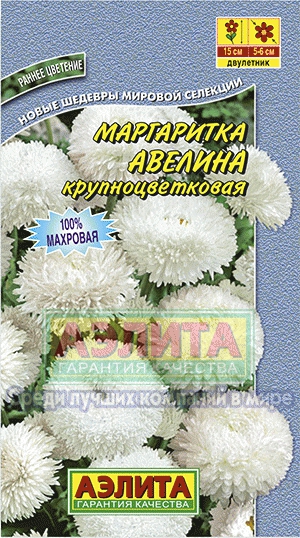 Маргаритка Авелина крупноцветковая (Аэлита) Ц