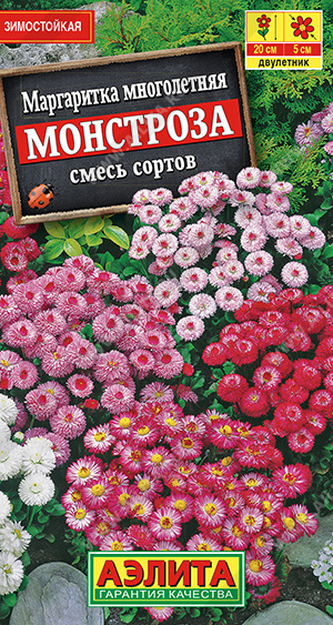 Маргаритка Монстроза смесь (Аэлита) Ц