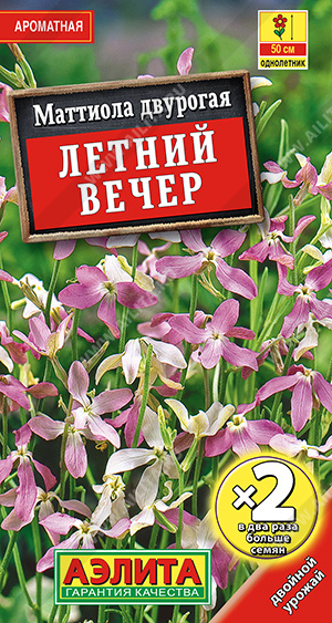 Маттиола Летний вечер (двойная грамовка) (Аэлита) Ц