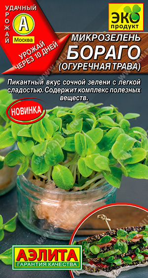 Микрозелень Бораго (Огуречная Трава) (Аэлита) Ц