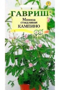 Мимоза стыдливая Кампина 0,1 г (Гавриш) Ц