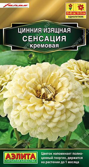 Цинния Сенсация Кремовая (Аэлита) Ц