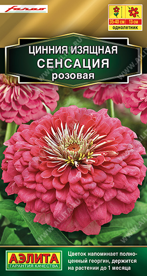 Цинния Сенсация Розовая (Аэлита) Ц